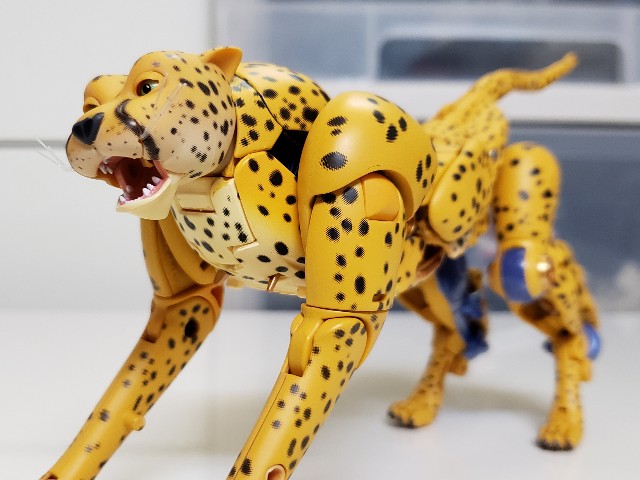 f:id:agoscream:20191231081643j:image