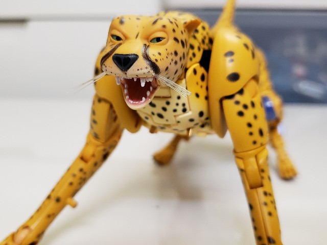 f:id:agoscream:20191231081658j:image