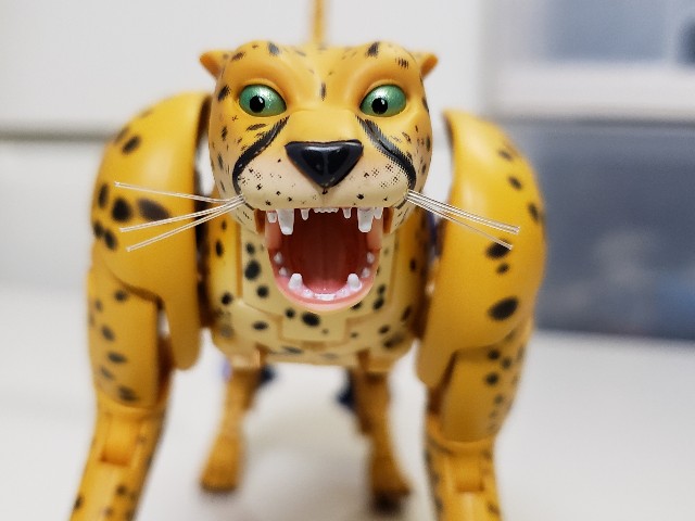 f:id:agoscream:20191231081708j:image