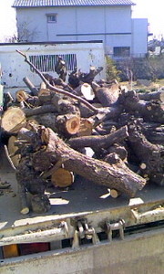 f:id:agpy:20110216110706j:image