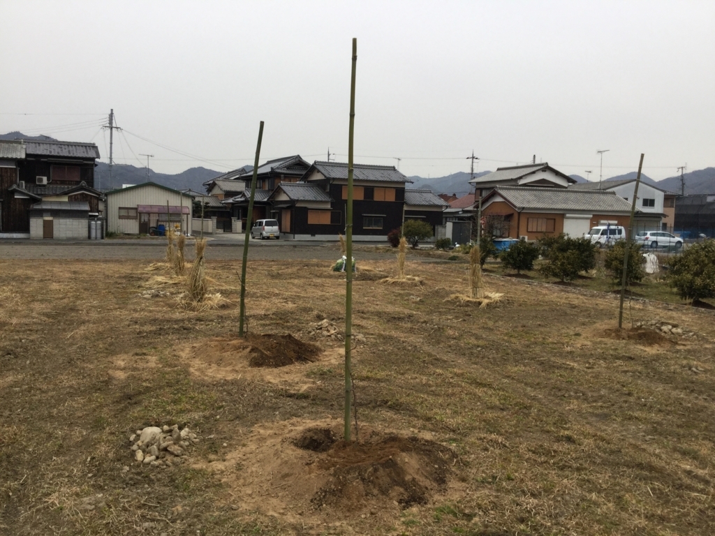 f:id:agrain:20180226075848j:plain