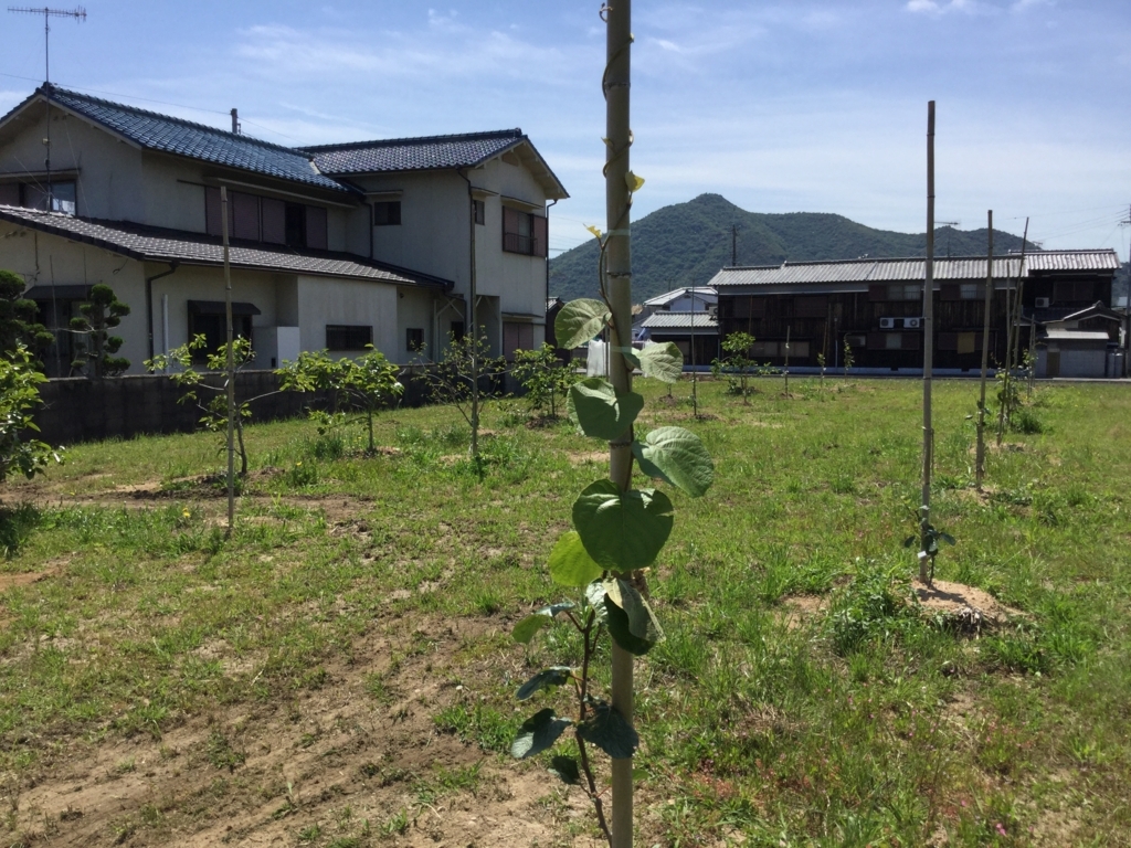 f:id:agrain:20180525061844j:plain
