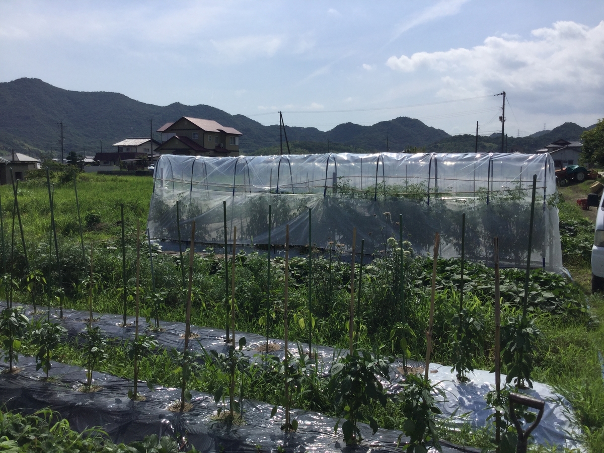 f:id:agrain:20190710081513j:plain
