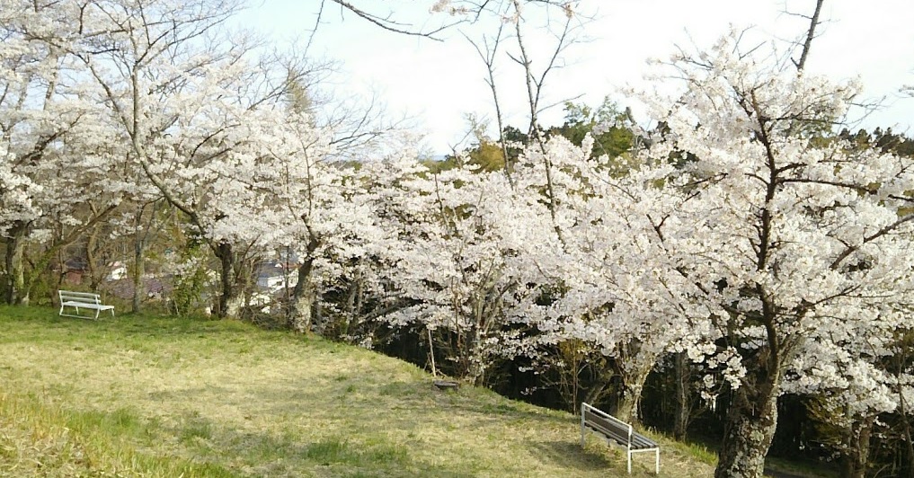 f:id:agretire:20200417193011j:plain f:id:agretire:20200417193011j:plain