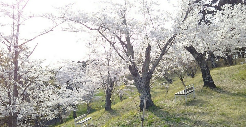 f:id:agretire:20200417193226j:plain f:id:agretire:20200417193226j:plain
