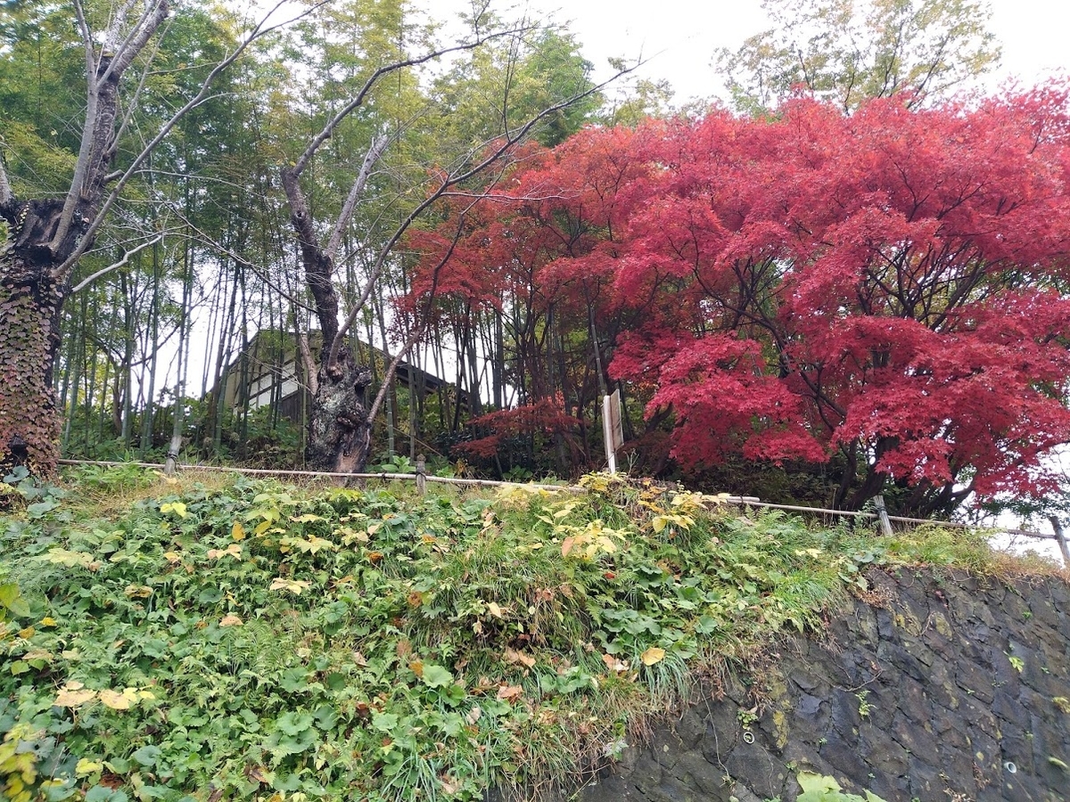 f:id:agretire:20201122005517j:plain