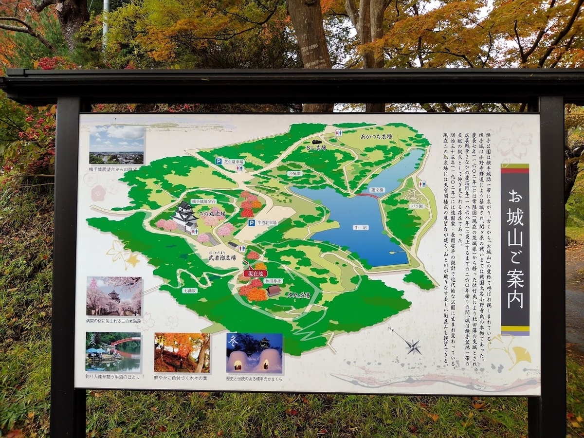 f:id:agretire:20201122005628j:plain
