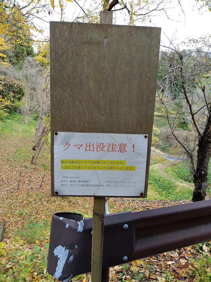 f:id:agretire:20201122005635j:plain