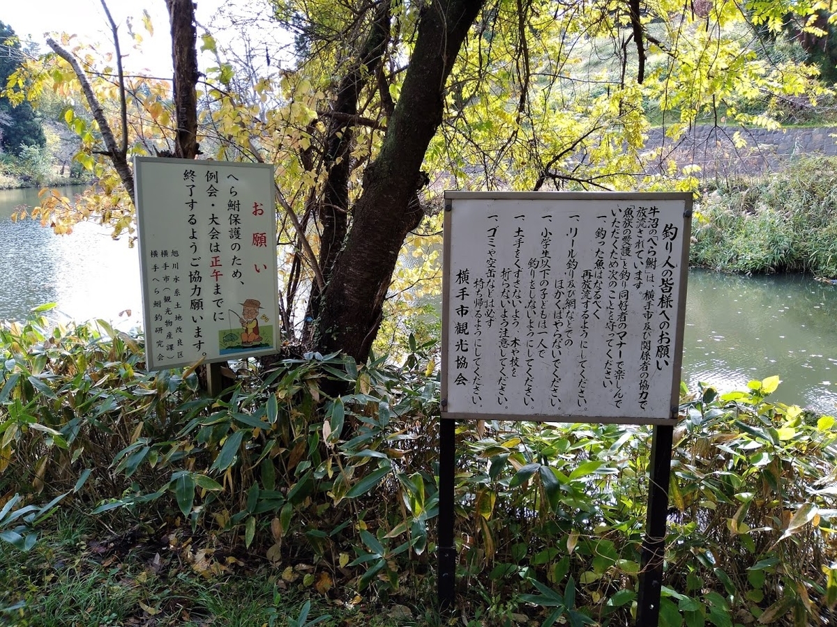 f:id:agretire:20201122005653j:plain