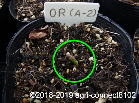 f:id:agri-connect:20190320225947j:plain f:id:agri-connect:20190320225947j:plain