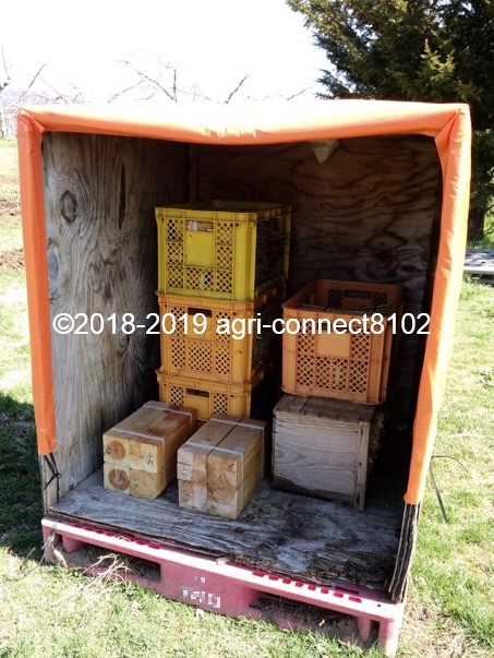 f:id:agri-connect:20190428225243j:plain f:id:agri-connect:20190428225243j:plain