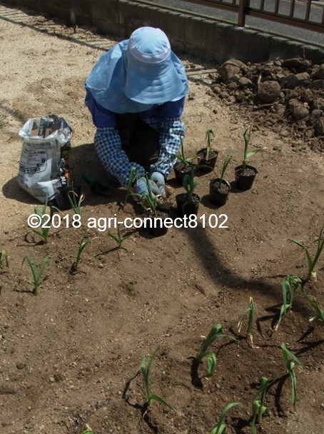 f:id:agri-connect:20190628215332j:plain f:id:agri-connect:20190628215332j:plain