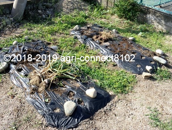 f:id:agri-connect:20190629201202j:plain f:id:agri-connect:20190629201202j:plain
