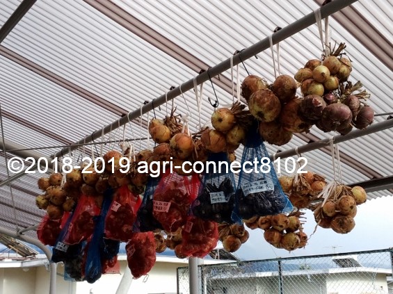 f:id:agri-connect:20190629203349j:plain f:id:agri-connect:20190629203349j:plain