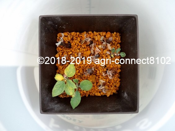 f:id:agri-connect:20190705214058j:plain f:id:agri-connect:20190705214058j:plain