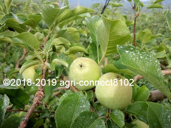f:id:agri-connect:20190706223900j:plain f:id:agri-connect:20190706223900j:plain