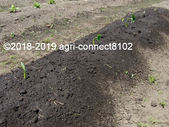 f:id:agri-connect:20190715220948j:plain f:id:agri-connect:20190715220948j:plain
