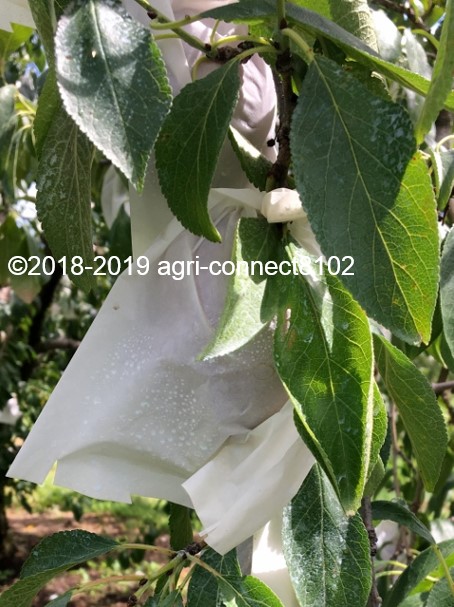 f:id:agri-connect:20190901212312j:plain f:id:agri-connect:20190901212312j:plain