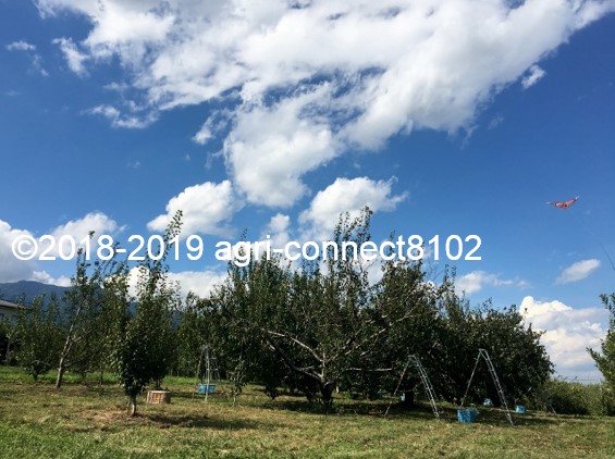 f:id:agri-connect:20190905212953j:plain f:id:agri-connect:20190905212953j:plain