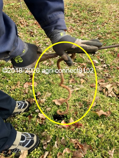 f:id:agri-connect:20200111222232j:plain f:id:agri-connect:20200111222232j:plain