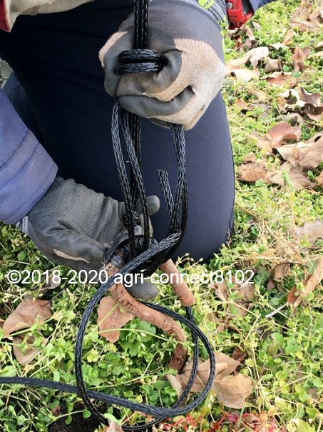 f:id:agri-connect:20200111223843j:plain f:id:agri-connect:20200111223843j:plain
