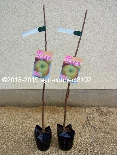 f:id:agri-connect:20200503205601j:plain f:id:agri-connect:20200503205601j:plain