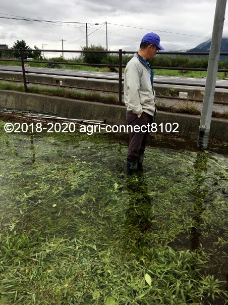 f:id:agri-connect:20200710114315j:plain f:id:agri-connect:20200710114315j:plain