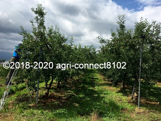f:id:agri-connect:20200716223928j:plain f:id:agri-connect:20200716223928j:plain