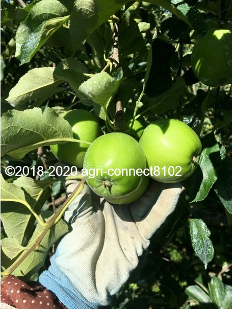 f:id:agri-connect:20200716224320j:plain f:id:agri-connect:20200716224320j:plain