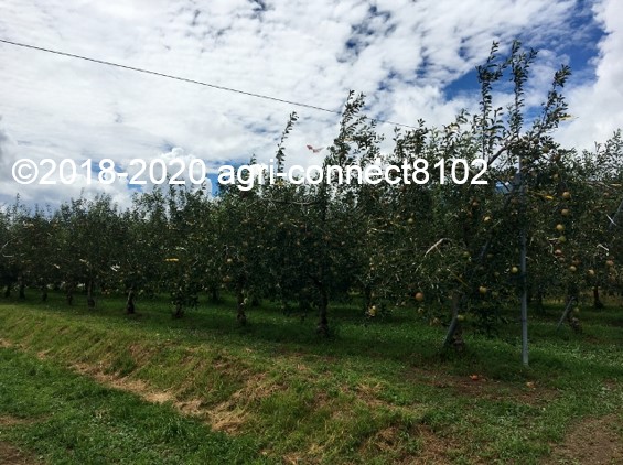 f:id:agri-connect:20200824220626j:plain f:id:agri-connect:20200824220626j:plain