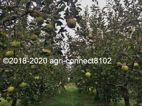 f:id:agri-connect:20200904225549j:plain f:id:agri-connect:20200904225549j:plain