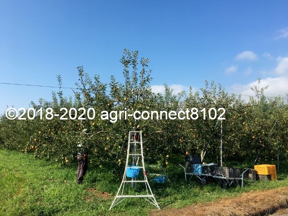 f:id:agri-connect:20200904225841j:plain f:id:agri-connect:20200904225841j:plain