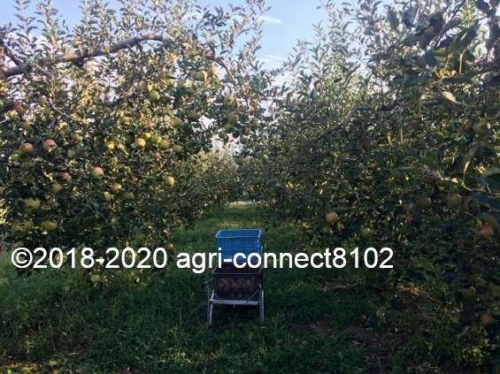 f:id:agri-connect:20200904231010j:plain f:id:agri-connect:20200904231010j:plain