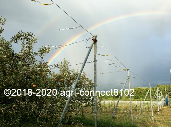 f:id:agri-connect:20200904232735j:plain f:id:agri-connect:20200904232735j:plain