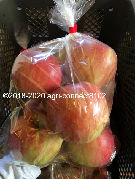 f:id:agri-connect:20200904233446j:plain f:id:agri-connect:20200904233446j:plain
