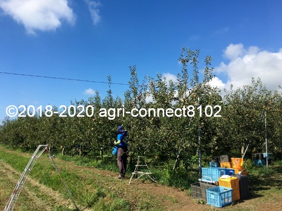 f:id:agri-connect:20200904234018j:plain f:id:agri-connect:20200904234018j:plain