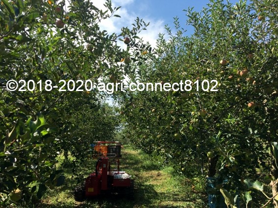 f:id:agri-connect:20200904234840j:plain