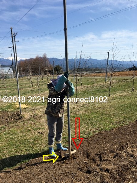 f:id:agri-connect:20210404223425j:plain
