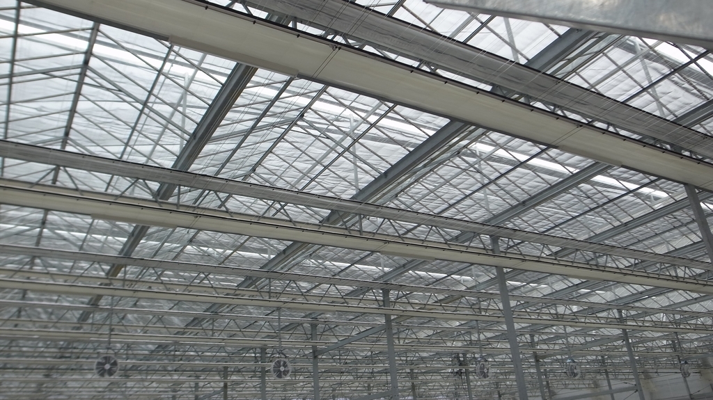 f:id:agri-work:20181201191008j:plain f:id:agri-work:20181201191008j:plain