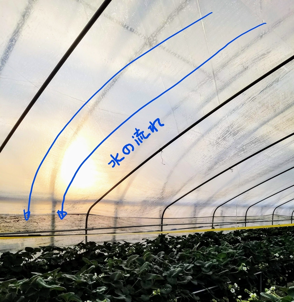 f:id:agri-work:20190110213607j:plain