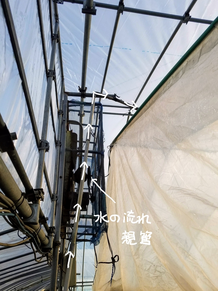 f:id:agri-work:20190110214954j:plain
