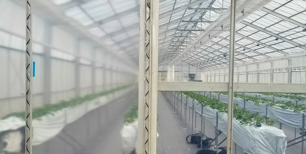 f:id:agri-work:20190119200420j:plain f:id:agri-work:20190119200420j:plain