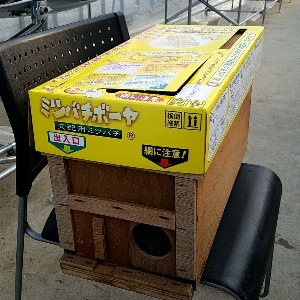ミチ様のみ購入有効。ご縁に感謝特別値下げ対応ページ。送料無料。 コウペンちゃん ツインGTGKキャップレス～Webオーダーパック
