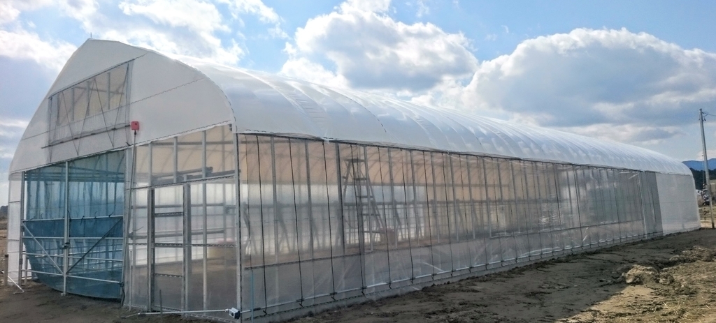 丈夫な42φパイプハウス牛舎 - イケックス「養液栽培肥料・資材と