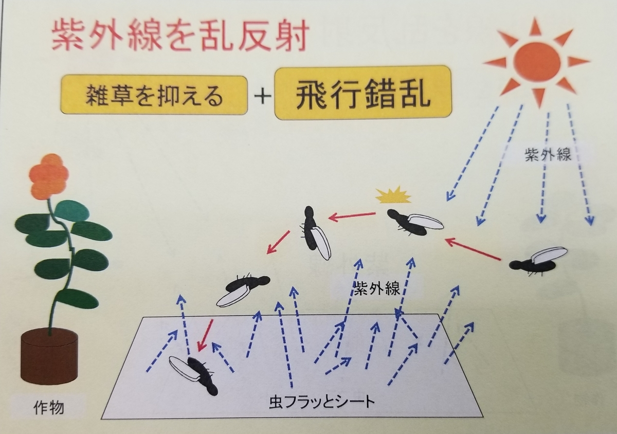 f:id:agri-work:20190327205548j:plain