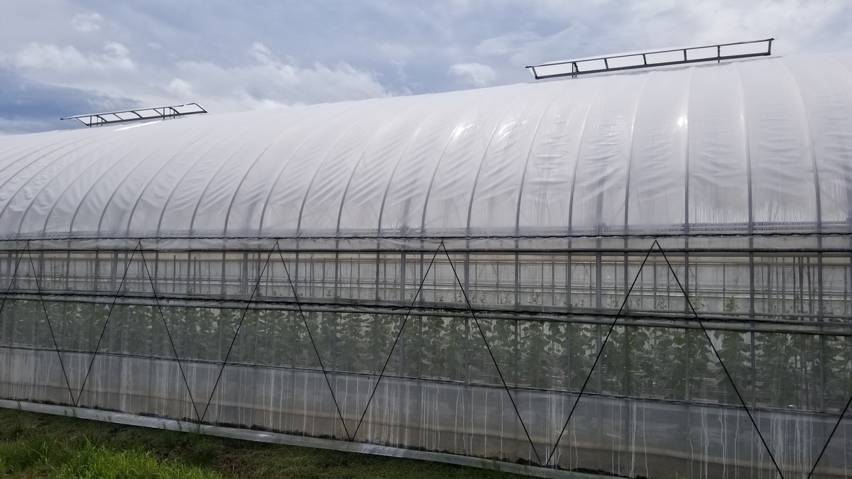 f:id:agri-work:20200813133808j:plain