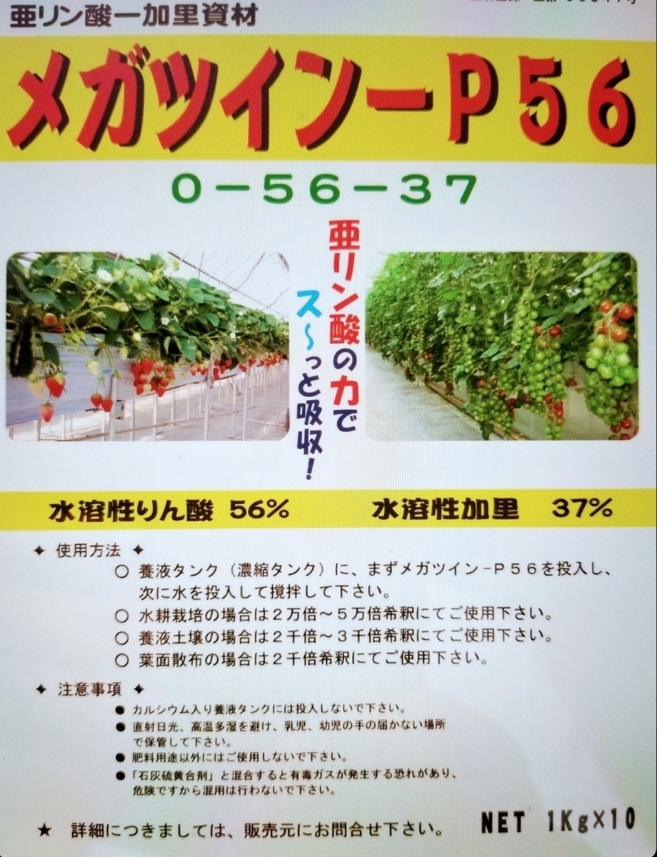貝とりんご KOUBO Apple Pie 64g-Ichiba Junction – ichibajunction