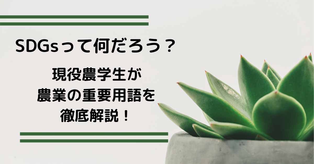 f:id:agri77:20210323201131p:plain