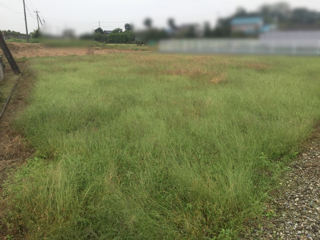 f:id:agridream2016:20161019155553j:plain