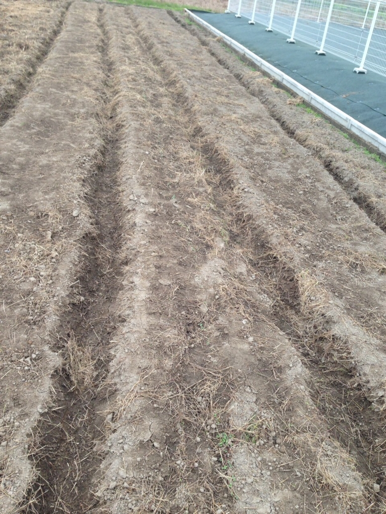 f:id:agridream2016:20161028103935j:plain